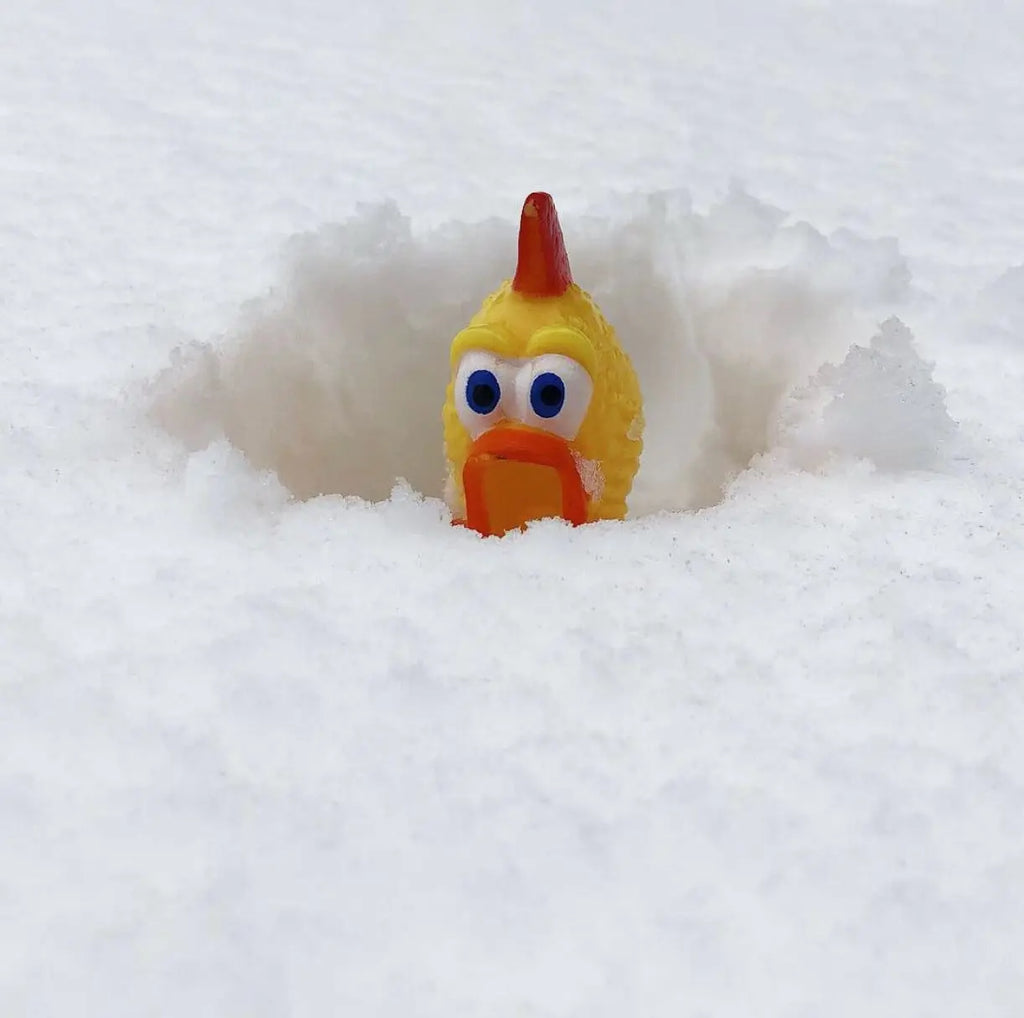CHAMPION RUBBER CHICKEN - Loud Squeaking Classic Gag Quality Toy - Archie Mcphee